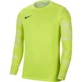 Camisola de Guarda-redes de Fútbol NIKE Park IV GK CJ6066-702