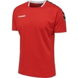 Camiseta de Fútbol HUMMEL HmlAuthentic Poly 204919-3062