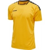 Camiseta de Fútbol HUMMEL HmlAuthentic Poly 204919-5115