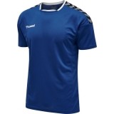 Camisola de Fútbol HUMMEL HmlAuthentic Poly 204919-7045