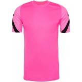 Camiseta Entrenamiento de Fútbol NIKE Dri-Fit Strike CD0570-639