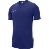 Camiseta Entrenamiento de Fútbol NIKE Dri-Fit Academy AJ9996-455