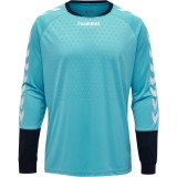 Camisola de Guarda-redes de Fútbol HUMMEL Essential 04087-7905