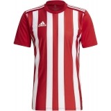 Camiseta de Fútbol ADIDAS Striped 21 GN7624