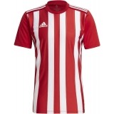 Camisola de Fútbol ADIDAS Striped 21 GN7624