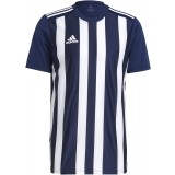 Camiseta de Fútbol ADIDAS Striped 21 GN5847