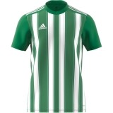 Camisola de Fútbol ADIDAS Striped 21 H35644