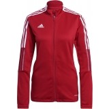 Chaqueta Chndal de Fútbol ADIDAS Tiro 21 Training Jacket GM7305