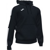 Sweatshirt de Fútbol JOMA Championship IV 102103.102