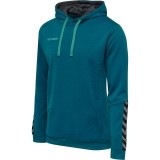 Sweatshirt de Fútbol HUMMEL HmlAuthentic Poly Hoodie 204930-8745