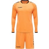 Conjunto de Portero de Fútbol HUMMEL Core 205280-5006