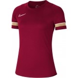 Camiseta Entrenamiento de Fútbol NIKE Dri-FIT Academy  CV2627-677