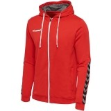 Casaco treino de Fútbol HUMMEL HmlAuthentic Poly Zip Hoodie 204937-3062