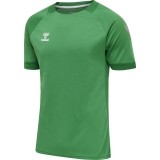 Camiseta de Fútbol HUMMEL HmlLead Poly Jersey 207393-6235