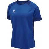 Camisola de Fútbol HUMMEL HmlLead Poly Jersey 207393-7045