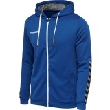 Casaco treino de Fútbol HUMMEL HmlAuthentic Poly Zip Hoodie 204937-7045