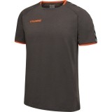 Camiseta Entrenamiento de Fútbol HUMMEL HmlAutenthic Training Tee 205379-1525