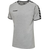 Camiseta Entrenamiento de Fútbol HUMMEL HmlAutenthic Training Tee 205379-2006