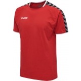Camiseta Entrenamiento de Fútbol HUMMEL HmlAutenthic Training Tee 205379-3062
