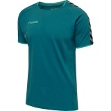Camiseta Entrenamiento de Fútbol HUMMEL HmlAutenthic Training Tee 205379-8745