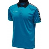 Polo de Fútbol HUMMEL HmlAutenthic Functional 205382-8745