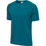 Camiseta Entrenamiento de Fútbol HUMMEL HmlAutenthic Pro Seamless 206536-8745
