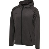 Casaco treino de Fútbol HUMMEL HmlAutenthic Pro Zip Hoodie 204614-2508