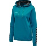 Sudadera de Fútbol HUMMEL HmlAutenthic Poly Hoodie 204932-8745