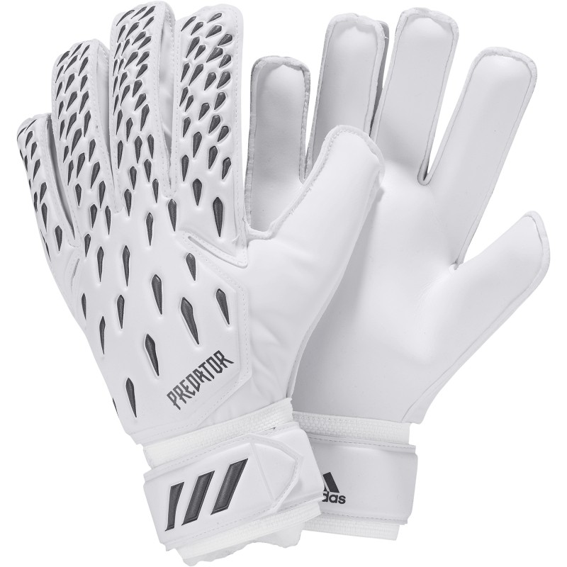 predator gl training