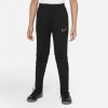Pantaln Nike Therma-FIT Academy Winter Warrior