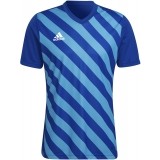 Camiseta de Fútbol ADIDAS Entrada 22 GFX HF0116
