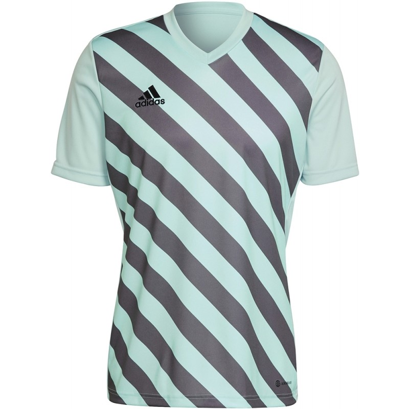 Camiseta adidas Entrada 22 GFX