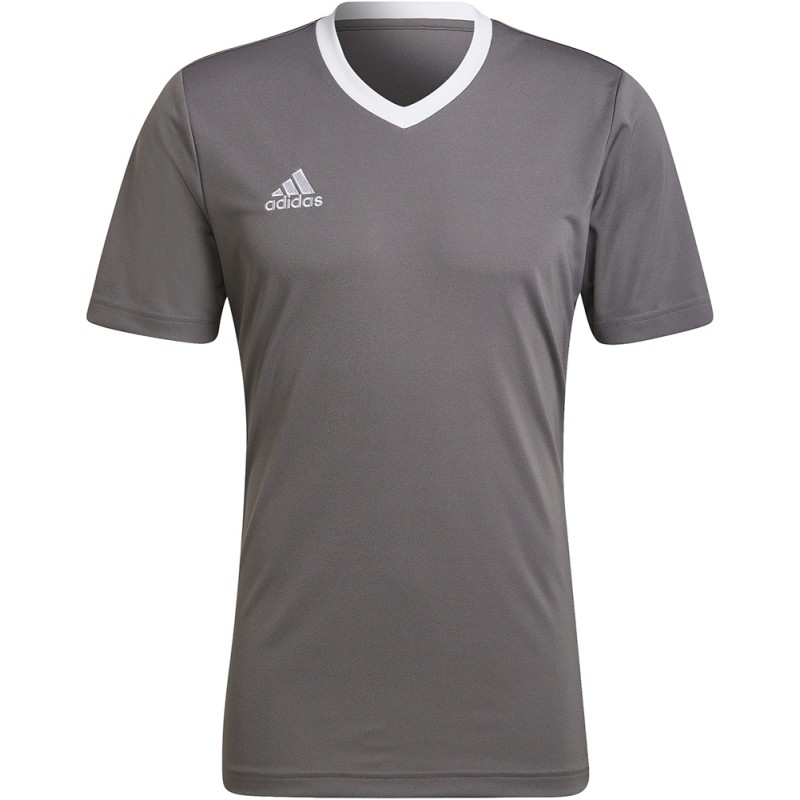 Camisetas adidas Entrada 22 HE1574