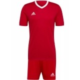 Equipamento de Fútbol ADIDAS Entrada 22 P-H61736