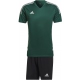 Equipacin de Fútbol ADIDAS Condivo 22 Jersey P-HE3057