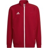 Chaqueta Chndal de Fútbol ADIDAS Entrada 22 Pre H57536