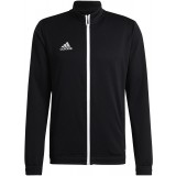 Casaco treino de Fútbol ADIDAS Entrada 22 TK HB0573