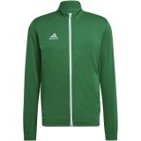 Casaco treino de Fútbol ADIDAS Entrada 22 TK HI2135