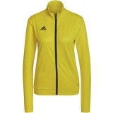 Chaqueta Chndal de Fútbol ADIDAS Entrada 22 TK HI2137