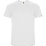 Camiseta Entrenamiento de Fútbol ROLY Imola 0427-01