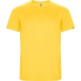 Camiseta Entrenamiento de Fútbol ROLY Imola CA0427-03