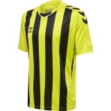 Camiseta de Fútbol HUMMEL HmlCore XK Striped 211458-5047