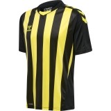 Camisola de Fútbol HUMMEL HmlCore XK Striped 211458-5138