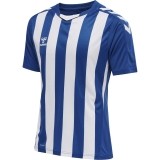 Camisola de Fútbol HUMMEL HmlCore XK Striped 211458-7691