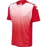 Camisola de Fútbol HUMMEL HmlCore XK Sublimation Jersey 211459-3062