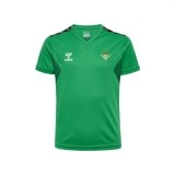 Camiseta de Fútbol HUMMEL Entrenamiento 2023-2024 223245-6235